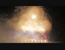 【2019】第1回 にし阿波の花火 「大会協賛グランドフィナーレ ～歓喜～」【岸火工品製造所】