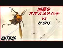 オオスズメバチvs5000匹のケアリ～ホバリングする最強昆虫～