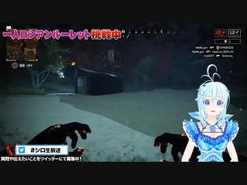 シロちゃんのくしゃみ