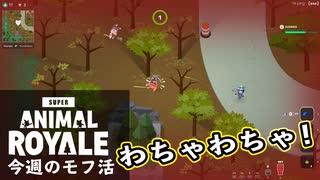 【Super Animal Royale】今週のモフ活 Part 4