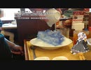 【VOICEROID車載】紲星あかりがAVにドハマりして動画投稿するなんて「Icc オートテスト夏の陣　編」
