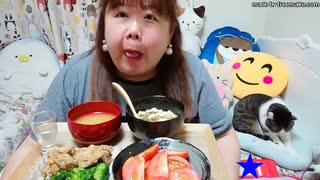 【ニートデブ】晩御飯に和風マーボー豆腐＆手羽元の唐揚げを食べる！□