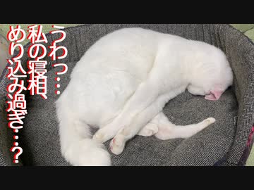 らぶかげ遊戯日記 ウチューネコチャン 無慈悲にめり込む