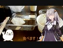 【紲星あかり車載】 ぽかライダーと紲星あかりの遠くへ行きて～な～　番外編　お散歩ツーリング
