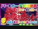 ドンキホーテ実戦動画 P義風堂々!!～兼続と慶次～2 兼続と慶次リーチ大当たり＆RUSH