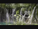 Plitvice　中野陽平