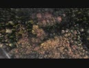 Rising Over Forest　中野陽平