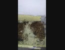 《閲覧注意》コクワガタの産卵ケージが黄色い菌糸だらけになっていた件について