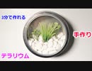 【3分で簡単に作れる】100均のマグネットケースでテラリウムの作り方！