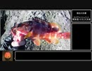 暇つぶしフィッシングPart10