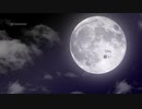 【ピアノ】Uru「願い」を弾いてみた (グランベルム ED)