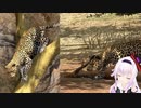 アフリカで限界化するカルロ・ピノ