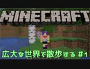 【実況プレイ】広大な世界で散歩する【Minecraft】【第四回】#1