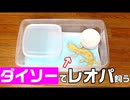 【100均】ダイソーのシューズケースがレオパ飼育に最適すぎる【ダイソー】