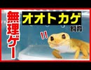 【覚悟が必要】オオトカゲ飼育は無理ゲーです【飼ってみたい】