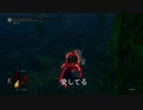 【ダークソウルR】逢い死会う侵入１８