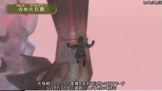 【RTA】ゼルダの伝説 スカイウォードソード Any% 2:09:22 Part5【字幕解説】