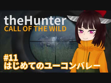 【theHunter Call of the Wild™】はじめてのユーコンバレー #11【東北きりたん実況】