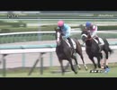JRA最少体重勝利馬 メロディーレーン 勝利映像(3歳未勝利+1勝クラス)