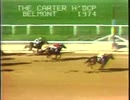 1974年 カーターハンディキャップ（Carter Handicap）フォアゴー(Forego)