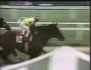 1976年 第4回マールボロカップ招待ハンデキャップ（Marlboro Cup Invitational Handicap）フォアゴー(Forego)