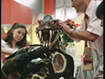 仮面ライダー（新）　第46話「怪談シリーズ　くだける人間！鏡の中の恐怖」