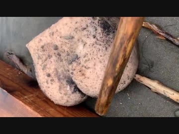 ホモと見る海からの贈りもの