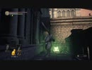 自称経験者と初見のぶらり不死の旅　part30