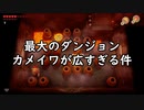 【ゼルダの伝説 夢をみる島_21】最大のダンジョン カメイワが広すぎる件【辛口モード】