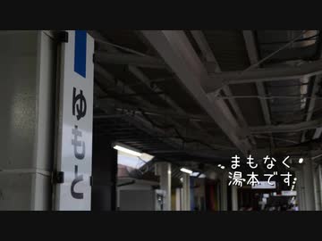キラメトキワ