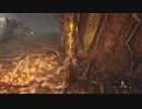【実況】戦国道中記　其の拾五【SEKIRO】