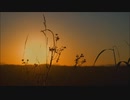 夕陽が傾く／初音ミク