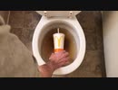 マクドナルドのコーラをトイレに流してみた３