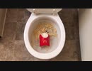 マクドナルドのフライドポテトをトイレに流してみた３