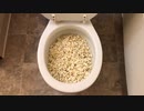 ポップコーンをトイレに流してみた６