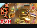 昔は最初の村でずっとスタンバってました#20【ゼルダの伝説夢をみる島】