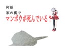 (何故か)夜桜たまの家の裏でマンボウが死んでいる　(家の裏でマンボウが死んでいる　MAD)