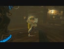 【実況】猶（なお）の伝説　ブレスオブザスーパープレイヤー【ゼルダの伝説】part33