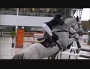 馬術競技を見に行く。