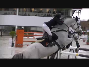 馬術競技を見に行く。