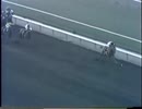 1979年 第42回サンタアニタハンデキャップ（Santa Anita Handicap）アファームド(Affirmed)