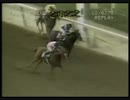 1979年 第61回ジョッキークラブゴールドカップステークス（Jockey Club Gold Cup Stakes）アファームド(Affirmed)