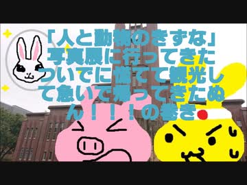 『人と動物の絆』写真展に行ってきたついでに慌てて観光して急いで帰ってきたぬん!!!の巻き