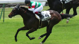 【ウイニングポスト8 2015】女馬主と早世馬の新世界【実況プレイ】377