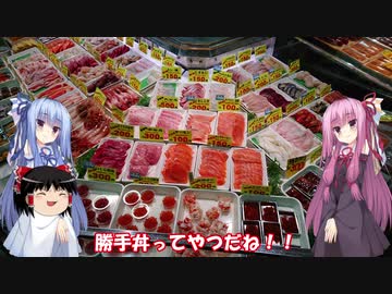 琴葉姉妹と行く釣行記録（車載編part9 7/11）