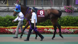 【ウイニングポスト8 2015】女馬主と早世馬の新世界【実況プレイ】378