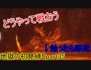 地獄の初見縛り【ダークソウルリマスター】part35