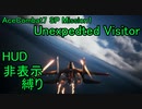 【HUD非表示】トリガー「HUDが壊れた」 SP1 Unexpected Visitor【エースコンバット7-ACE】
