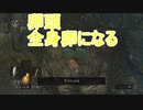 地獄の初見縛り【ダークソウルリマスター】part37