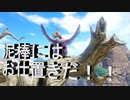 日常演舞のグダグダドラクエ実況18 新たなオーブを手に入れる為に泥棒鳥にお仕置きだ！！2